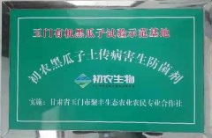 玉門有機黑瓜子試驗示范基地