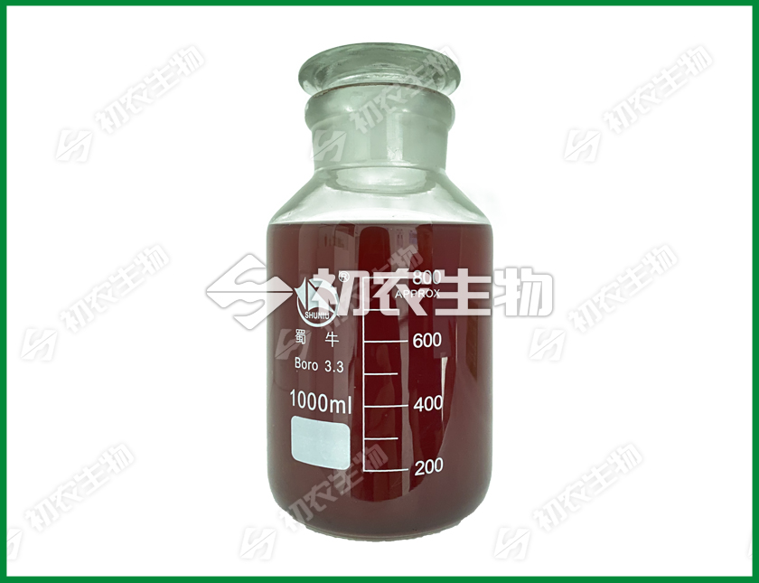 光合細(xì)菌（光合細(xì)菌類）