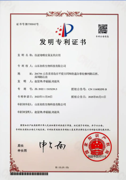 抗逆地嗜皮菌：初農(nóng)生物解鎖生態(tài)修復(fù)的“新鑰匙”專利技術(shù)